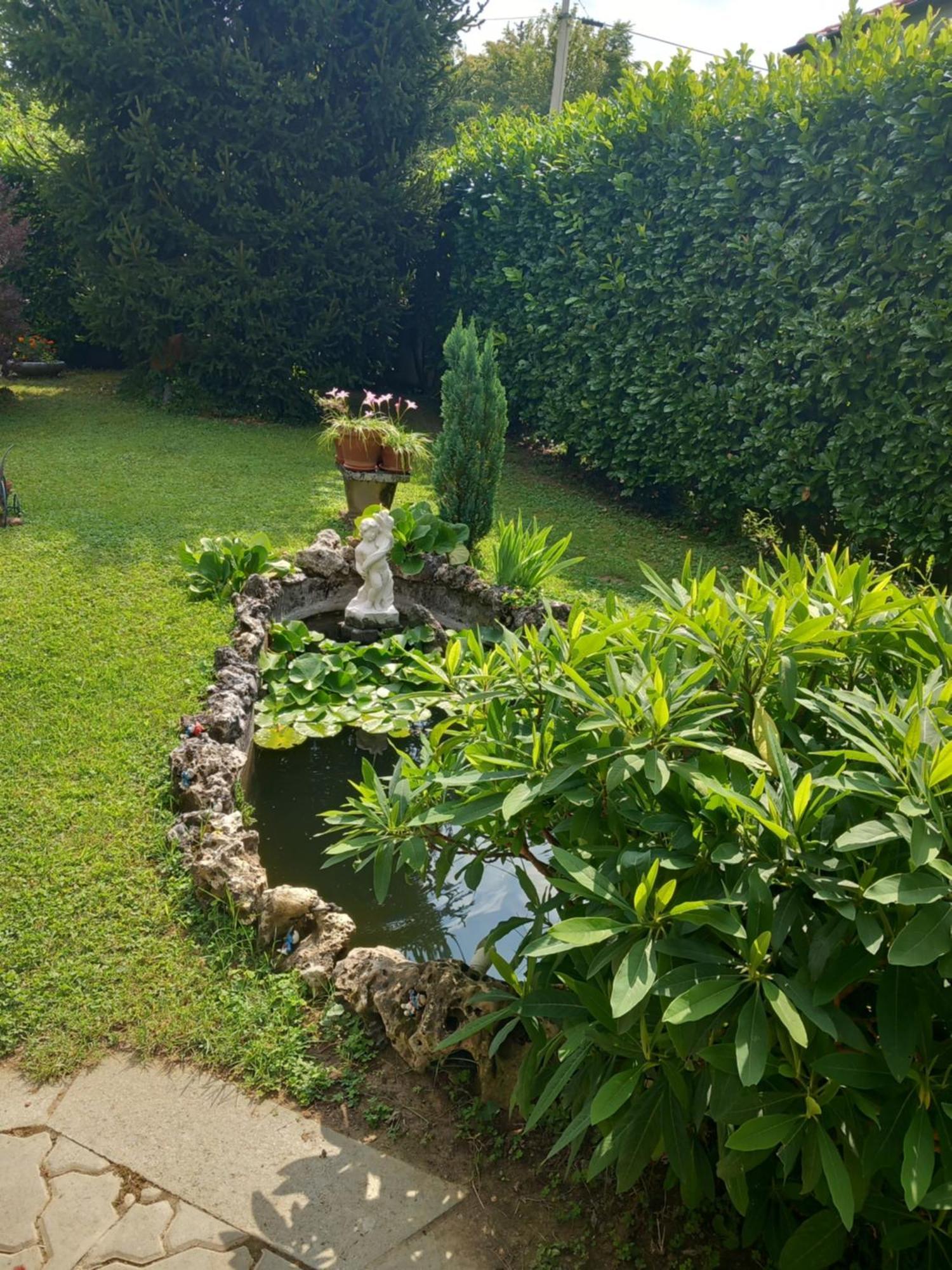 Bed and Breakfast Il Laghetto Torre Canavese Exterior foto