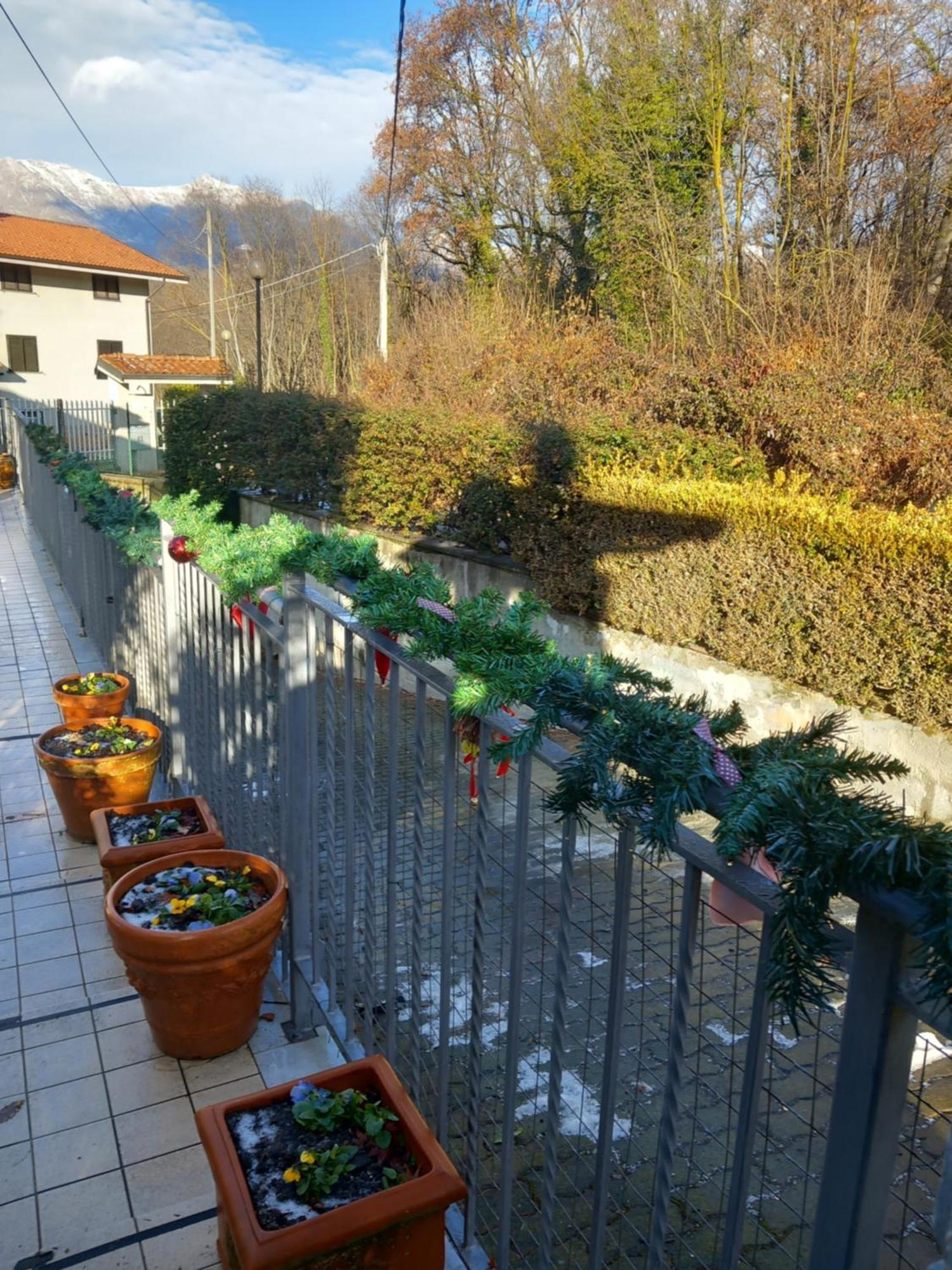 Bed and Breakfast Il Laghetto Torre Canavese Exterior foto